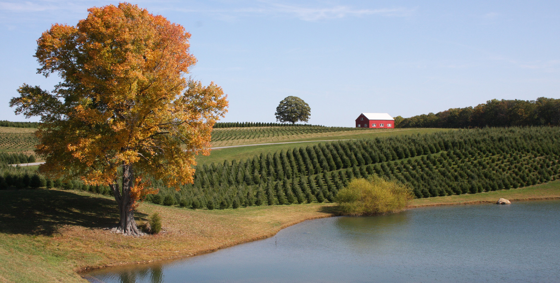 Pine Valley Farms Home